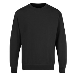 Regular Sweatshirt